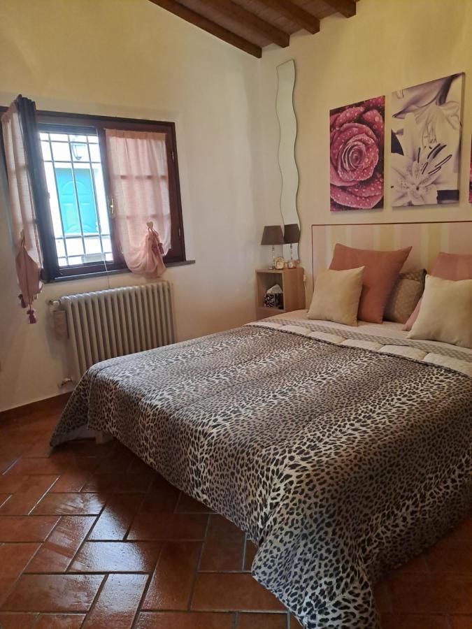 Apartmán Il Rustichello Pisa Exteriér fotografie